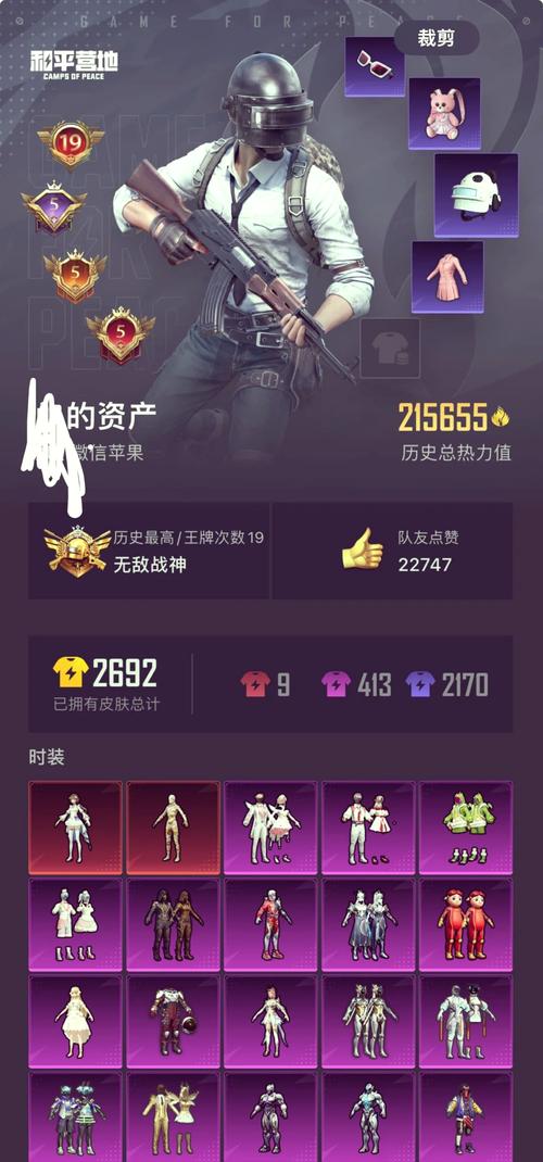 绝地求生辅助多少钱