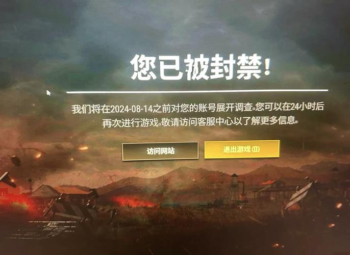 吃鸡透视辅助