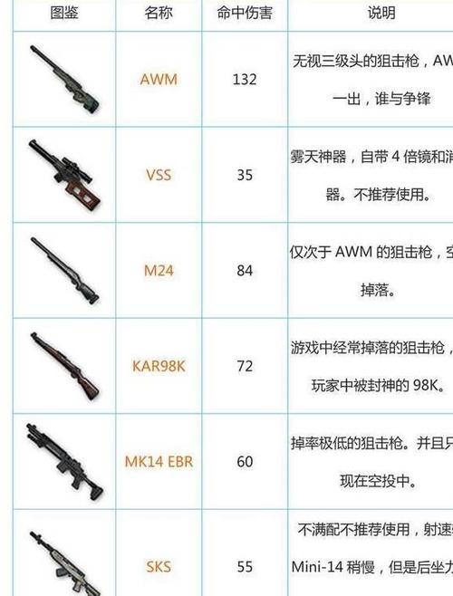 绝地求生最强枪配