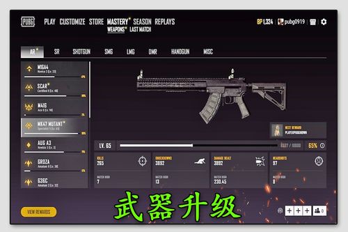 绝地求生最强枪配